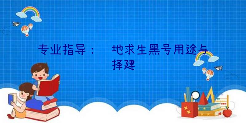 专业指导：绝地求生黑号用途与选择建议