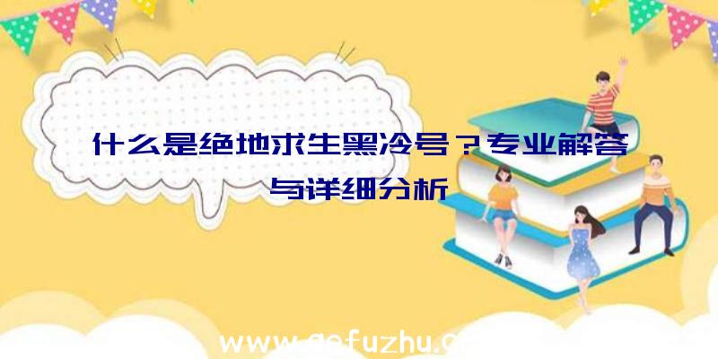 什么是绝地求生黑冷号？专业解答与详细分析