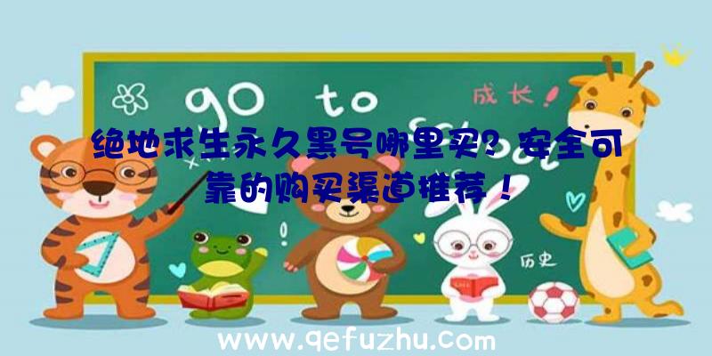 绝地求生永久黑号哪里买？安全可靠的购买渠道推荐！