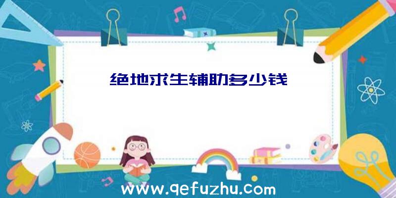 绝地求生辅助多少钱