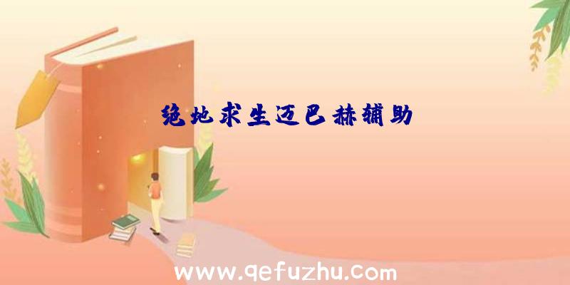 绝地求生迈巴赫辅助