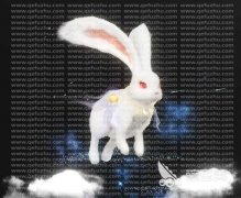山海进化的妄想宠玉兔怎么样 中秋节特典进化宠物玉兔技能介绍