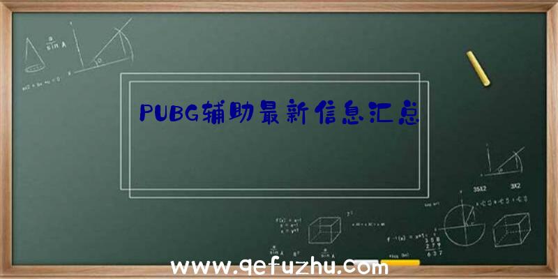 PUBG辅助最新信息汇总