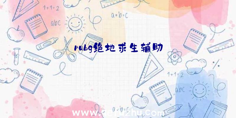 pubg绝地求生辅助