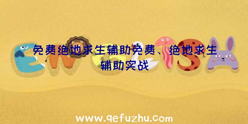 免费绝地求生辅助免费、绝地求生辅助实战