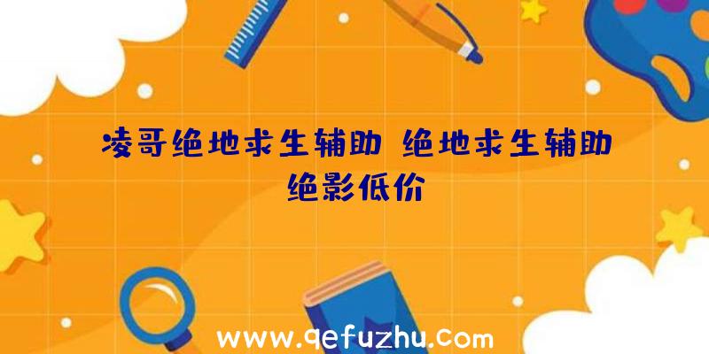凌哥绝地求生辅助、绝地求生辅助绝影低价