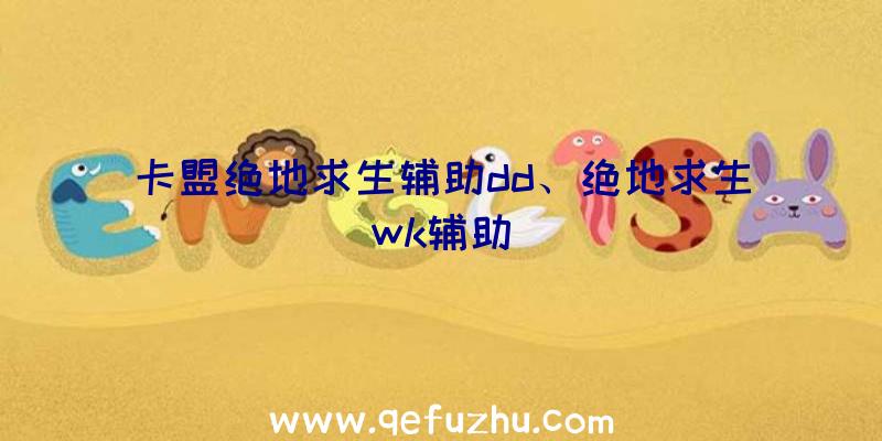 卡盟绝地求生辅助dd、绝地求生wk辅助