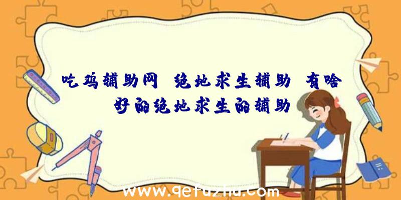 吃鸡辅助网