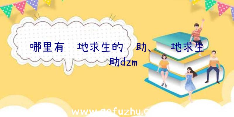 哪里有绝地求生的辅助、绝地求生辅助dzm