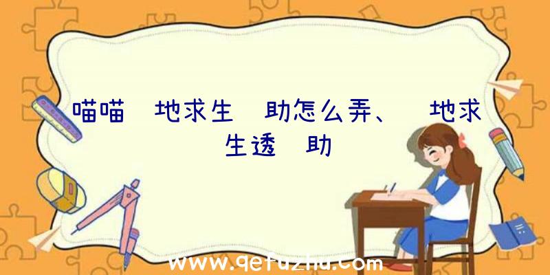 喵喵绝地求生辅助怎么弄、绝地求生透辅助