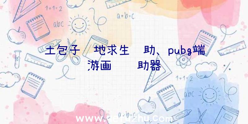 土包子绝地求生辅助、pubg端游画质辅助器