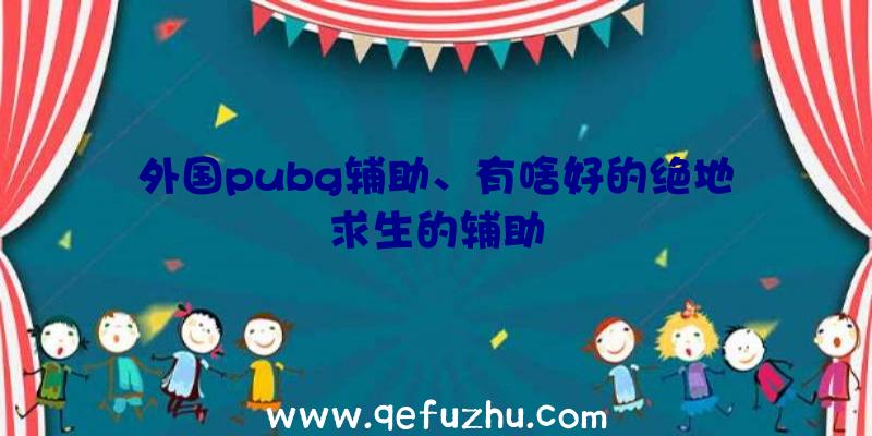 外国pubg辅助、有啥好的绝地求生的辅助