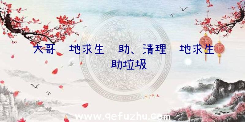 大哥绝地求生辅助、清理绝地求生辅助垃圾