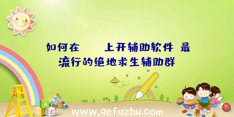 如何在pubg上开辅助软件、最流行的绝地求生辅助群