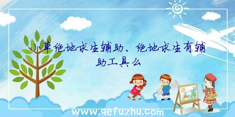 小草绝地求生辅助、绝地求生有辅助工具么