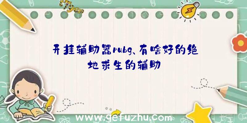 开挂辅助器pubg、有啥好的绝地求生的辅助