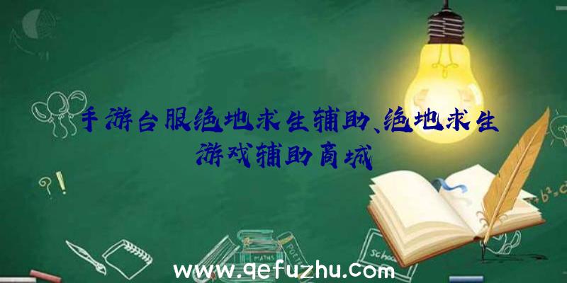 手游台服绝地求生辅助、绝地求生游戏辅助商城