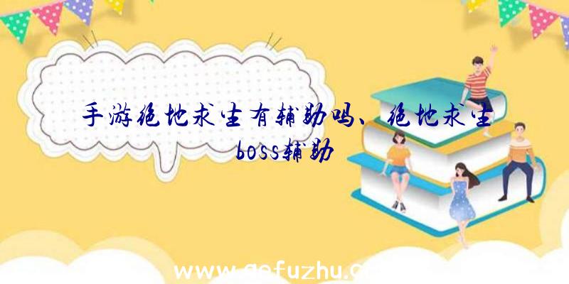 手游绝地求生有辅助吗、绝地求生boss辅助