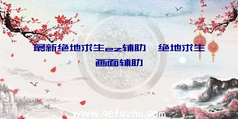 最新绝地求生ez辅助、绝地求生画面辅助