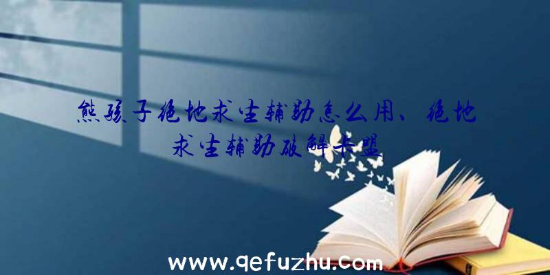 熊孩子绝地求生辅助怎么用、绝地求生辅助破解卡盟