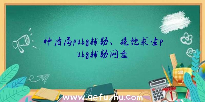 神盾局pubg辅助、绝地求生pubg辅助网盘