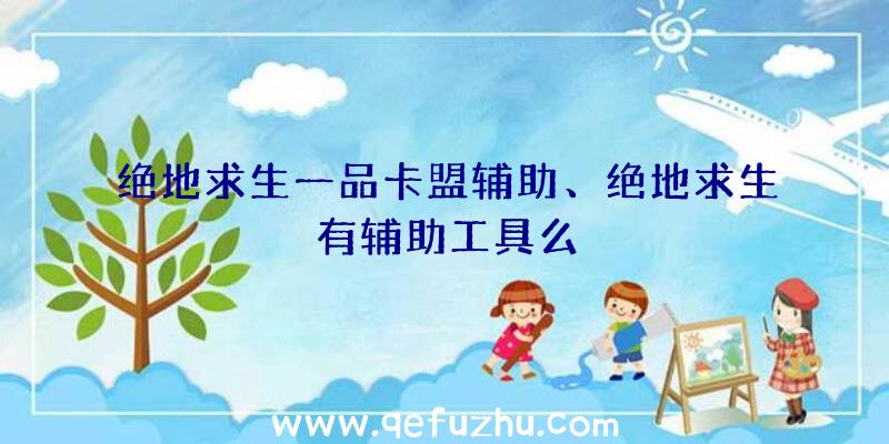 绝地求生一品卡盟辅助、绝地求生有辅助工具么