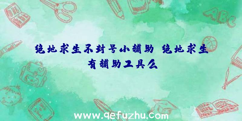 绝地求生不封号小辅助、绝地求生有辅助工具么