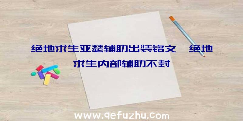 绝地求生亚瑟辅助出装铭文、绝地求生内部辅助不封