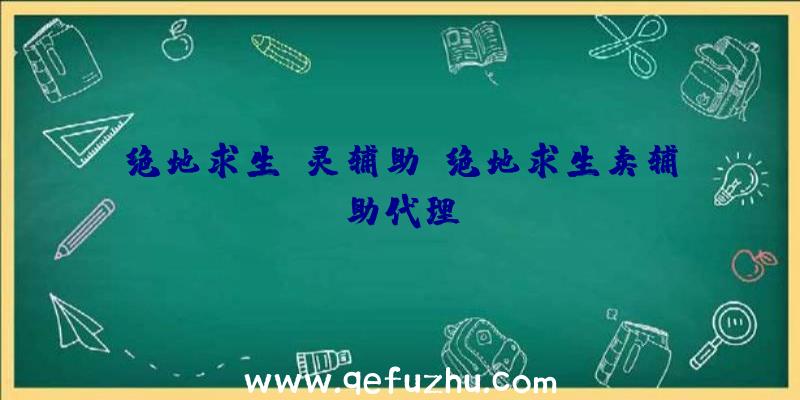 绝地求生亡灵辅助、绝地求生卖辅助代理