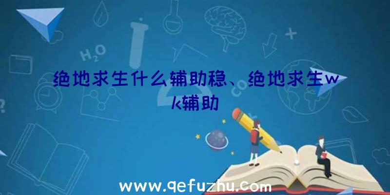 绝地求生什么辅助稳、绝地求生wk辅助
