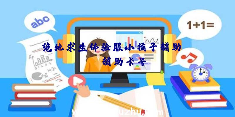 绝地求生体验服小橘子辅助、pubg辅助卡号
