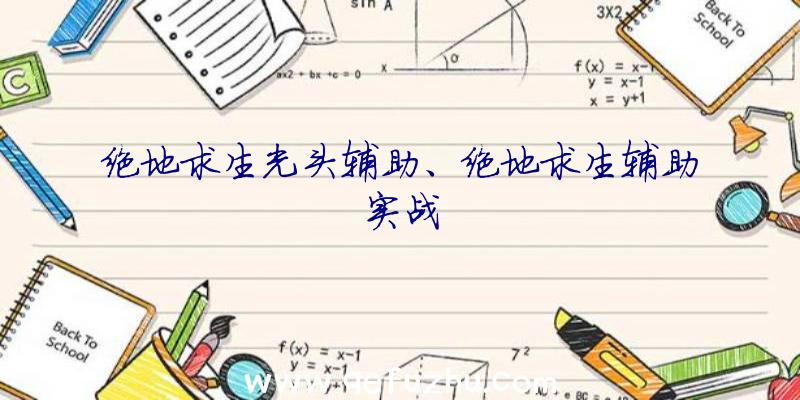 绝地求生光头辅助、绝地求生辅助实战