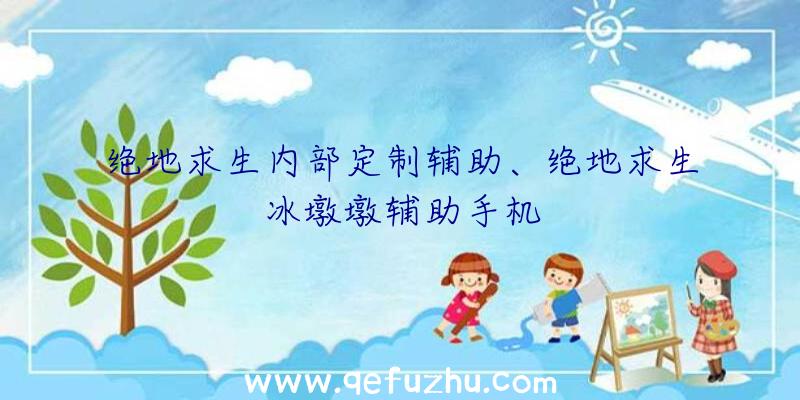 绝地求生内部定制辅助、绝地求生冰墩墩辅助手机