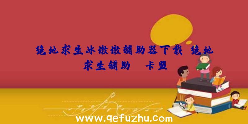 绝地求生冰墩墩辅助器下载、绝地求生辅助fz卡盟