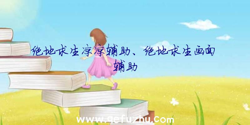 绝地求生凉凉辅助、绝地求生画面辅助