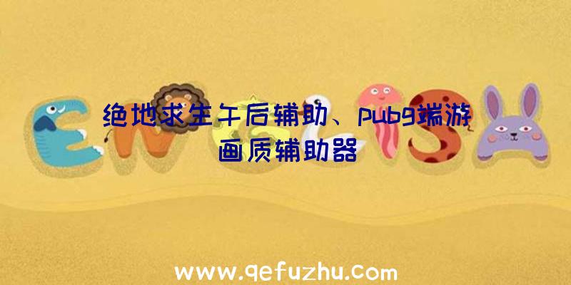 绝地求生午后辅助、pubg端游画质辅助器