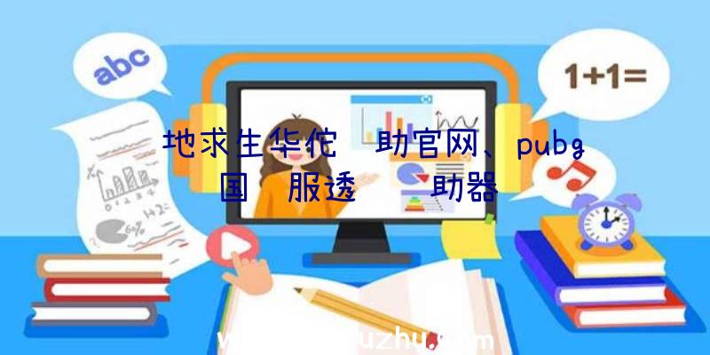 绝地求生华佗辅助官网、pubg国际服透视辅助器