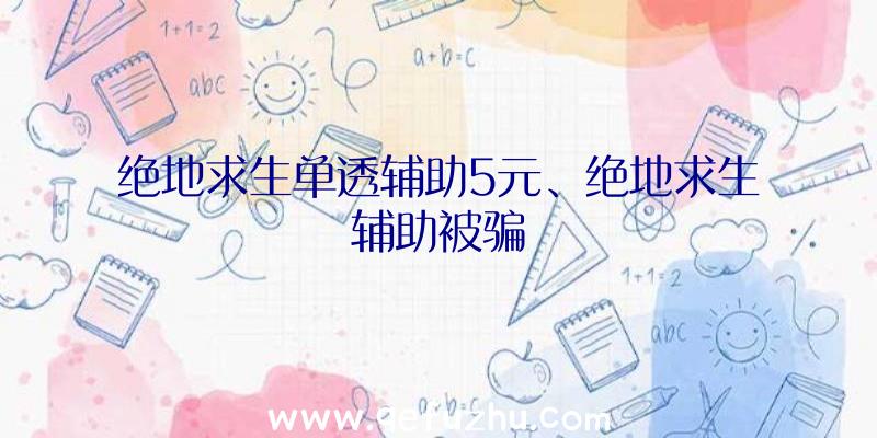 绝地求生单透辅助5元、绝地求生辅助被骗