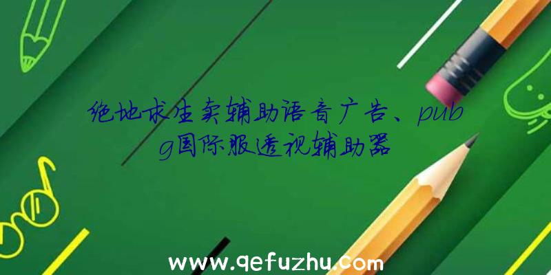 绝地求生卖辅助语音广告、pubg国际服透视辅助器