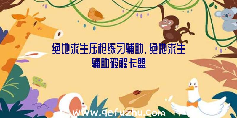 绝地求生压枪练习辅助、绝地求生辅助破解卡盟