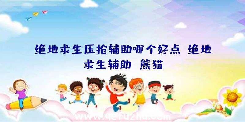 绝地求生压枪辅助哪个好点、绝地求生辅助