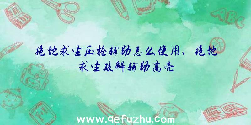 绝地求生压枪辅助怎么使用、绝地求生破解辅助高亮