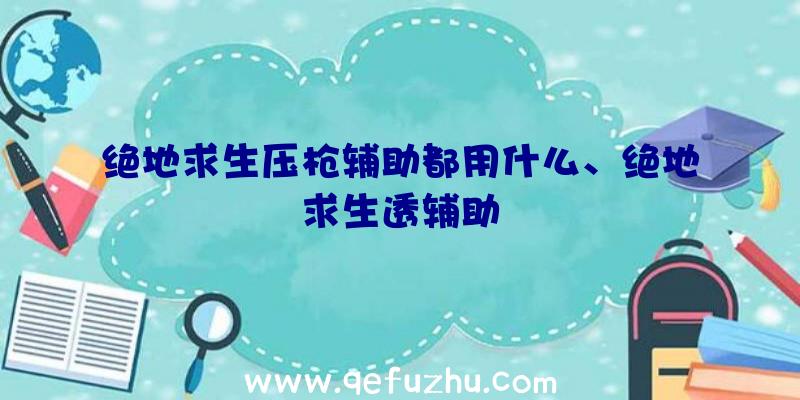 绝地求生压枪辅助都用什么、绝地求生透辅助
