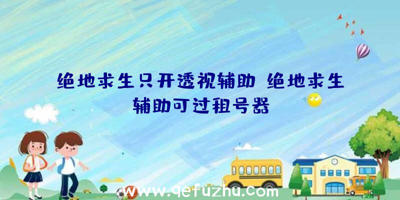 绝地求生只开透视辅助、绝地求生辅助可过租号器