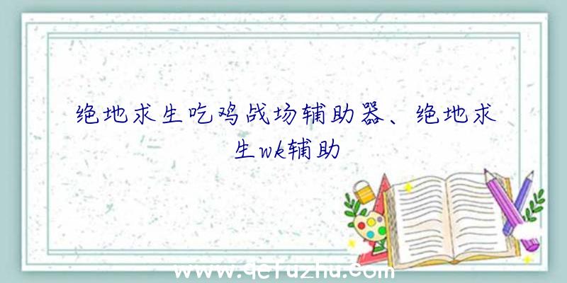 绝地求生吃鸡战场辅助器、绝地求生wk辅助