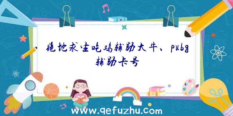 绝地求生吃鸡辅助大牛、pubg辅助卡号