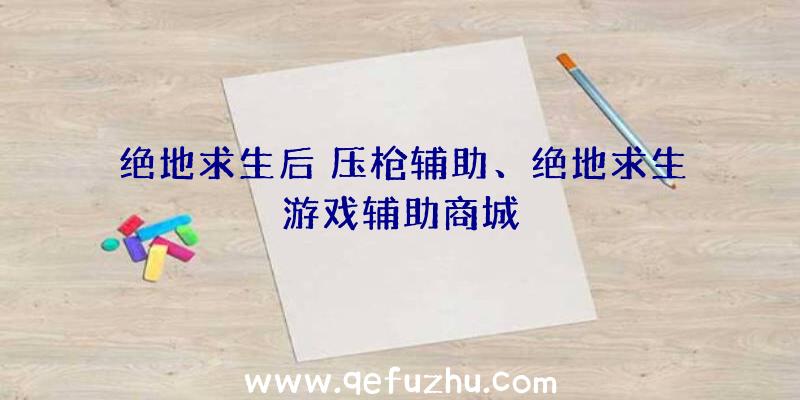 绝地求生后