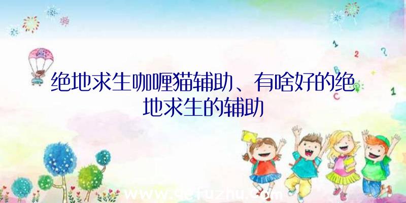 绝地求生咖喱猫辅助、有啥好的绝地求生的辅助