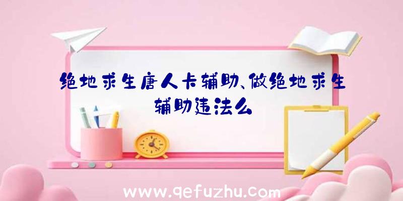绝地求生唐人卡辅助、做绝地求生辅助违法么