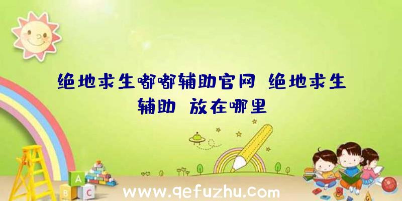 绝地求生嘟嘟辅助官网、绝地求生辅助